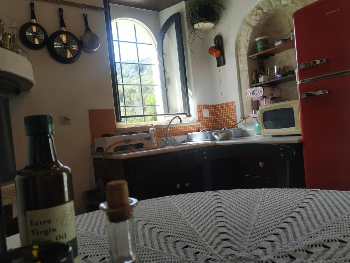 Xenios Z Rustic Rural Cottage Karidi 외부 사진